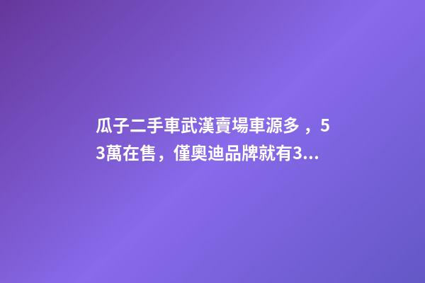 瓜子二手車武漢賣場車源多，5.3萬在售，僅奧迪品牌就有3000多輛